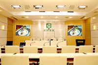 @ʾO:HGS-BͶӲĻ