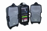 Vw_(d)푌I(y)޹˾:Visa 300