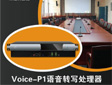 SONICƷ Voice-P1ZD̎